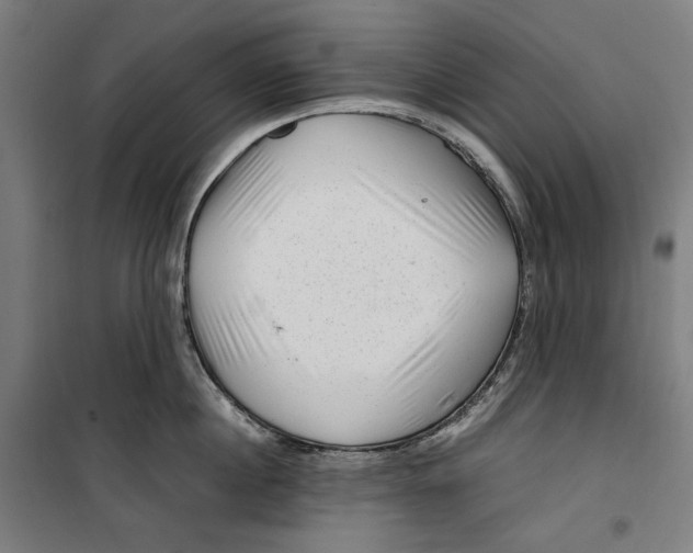 X0000099490860200806121351