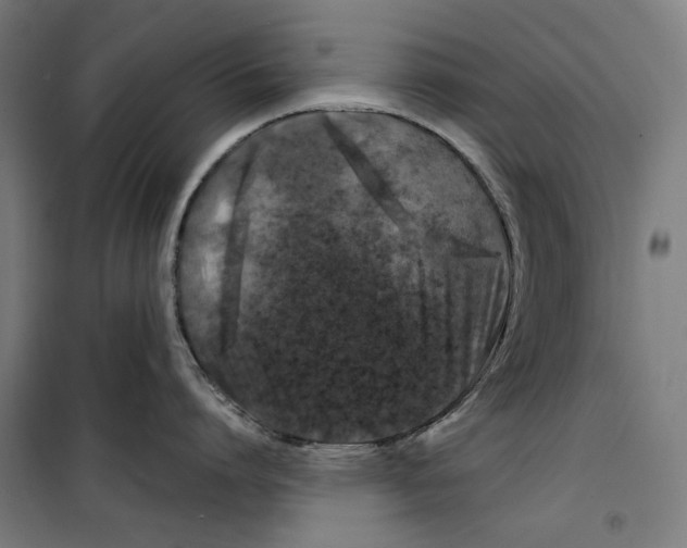 X0000099490864200806121351