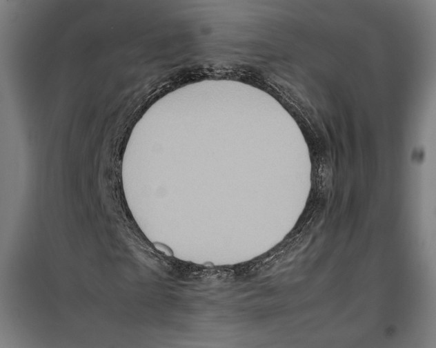 X0000099490865200806121350