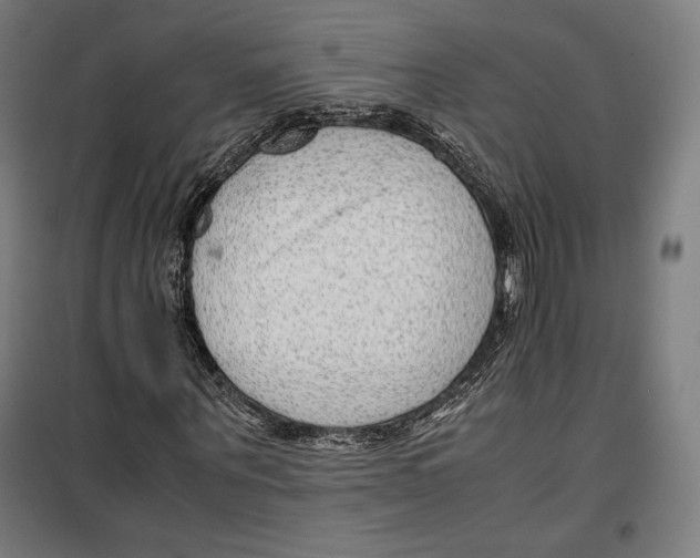 X0000099490867200806121350