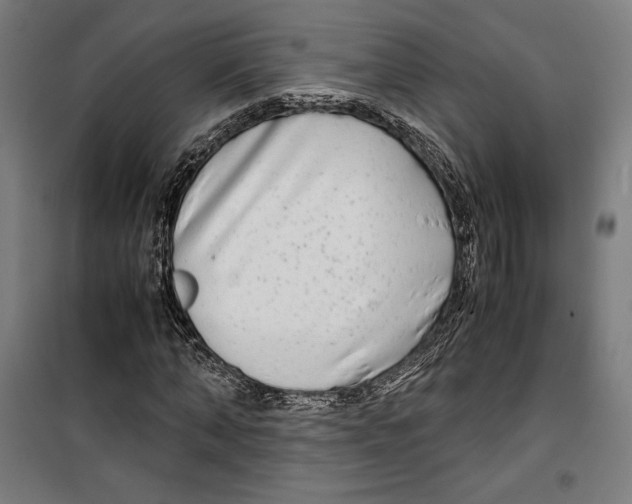 X0000099490870200806121350