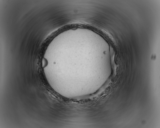 X0000099490872200806121350