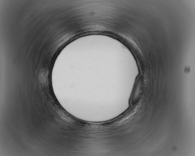 X0000099490873200806121350