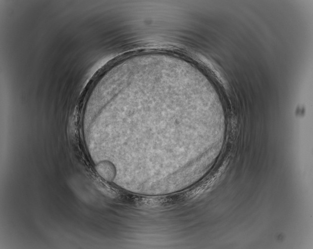 X0000099490875200806121350