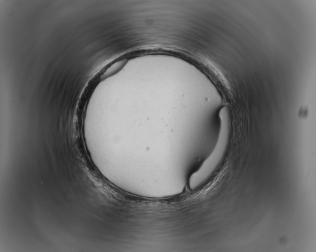 X0000099490876200806121350