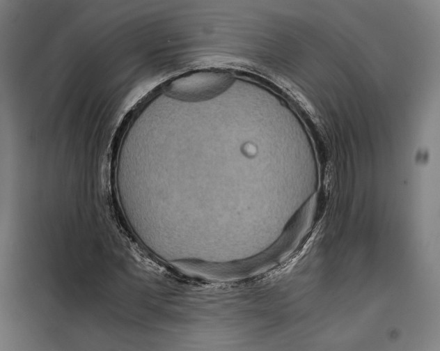 X0000099490877200806121350