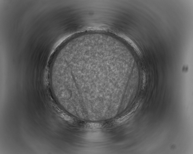 X0000099490878200806121350