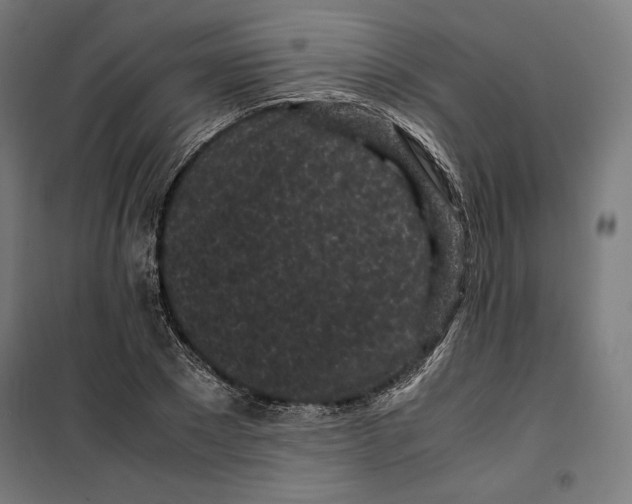 X0000099490881200806121350