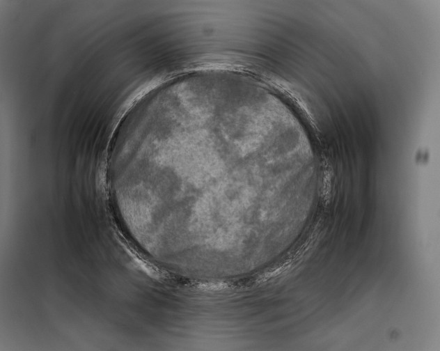 X0000099490882200806121350