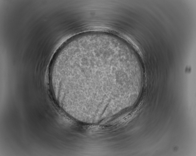 X0000099490883200806121350