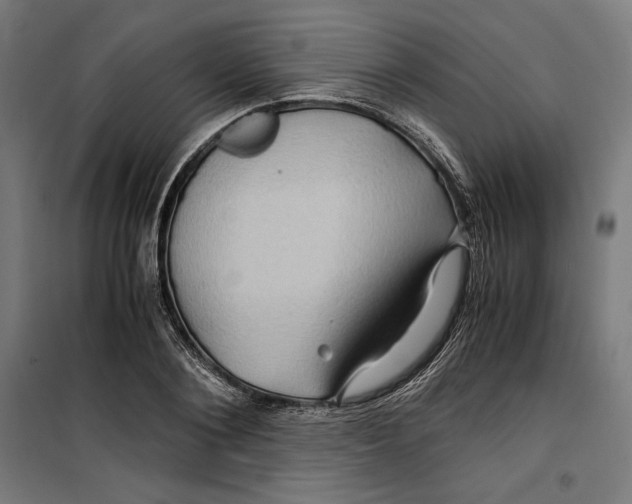 X0000099490884200806121350