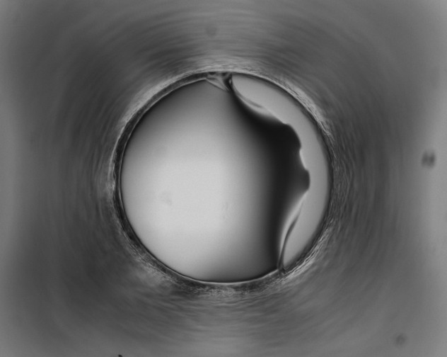 X0000099490885200806121350