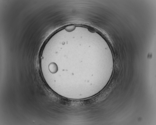 X0000099490887200806121350