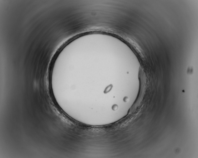 X0000099490888200806121350