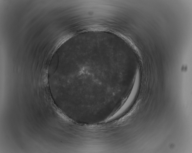 X0000099490889200806121350