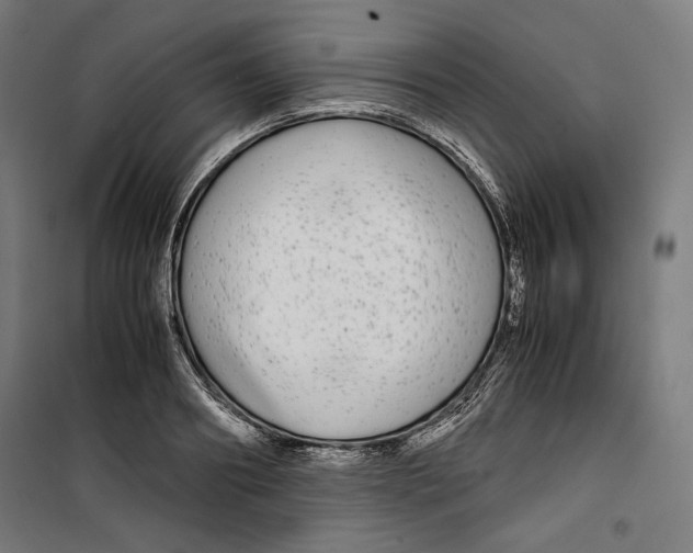 X0000099490890200806121350