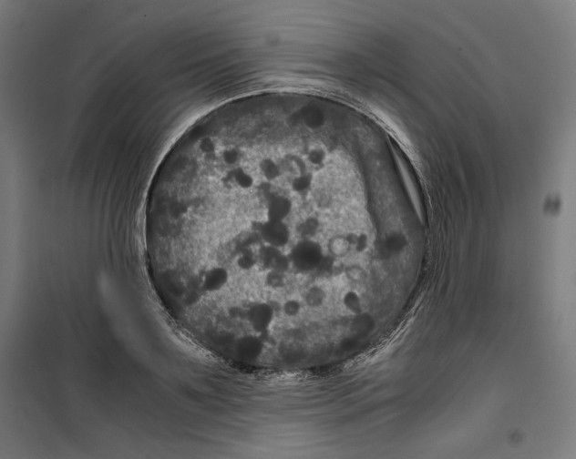 X0000099490891200806121350