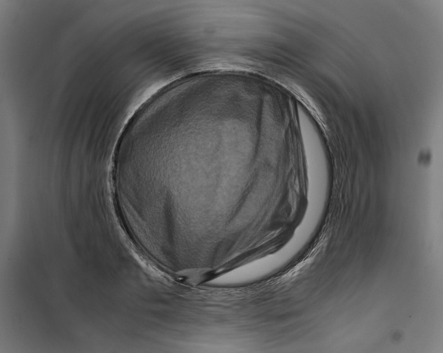 X0000099490893200806121350