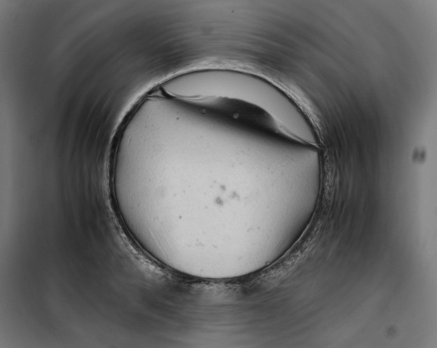 X0000099490896200806121350