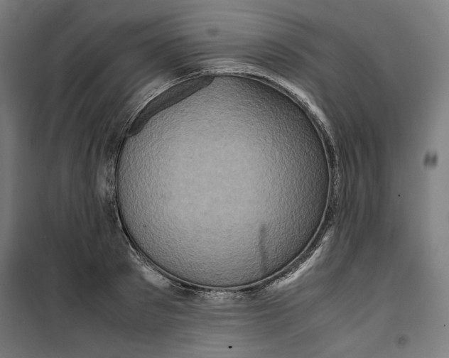 X0000099490897200806121349