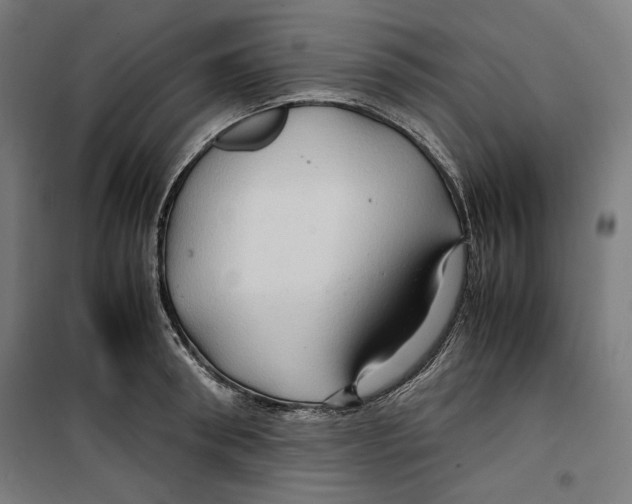 X0000099490898200806121349