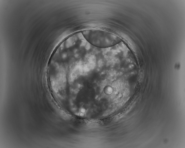 X0000099490899200806121349