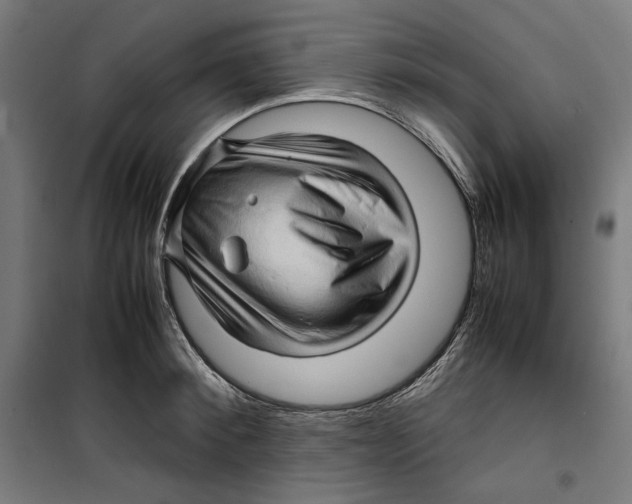 X0000099490900200806121349