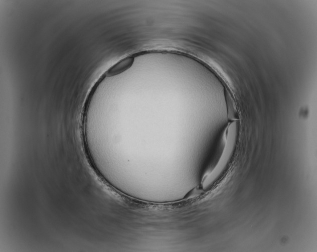 X0000099490901200806121349