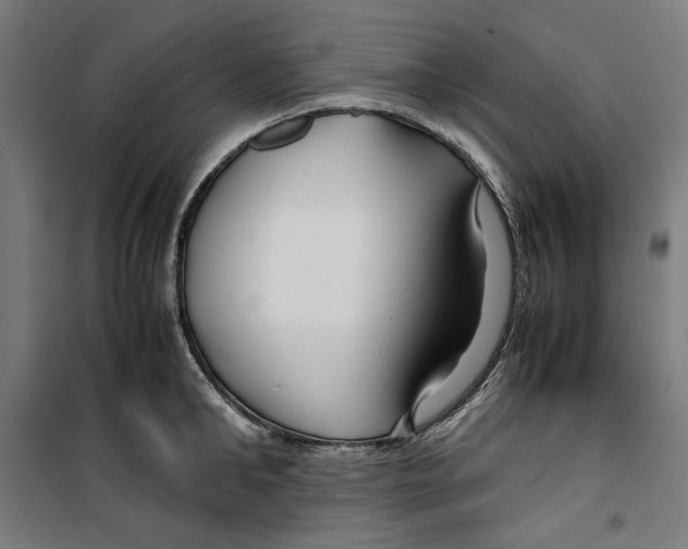 X0000099490902200806121349