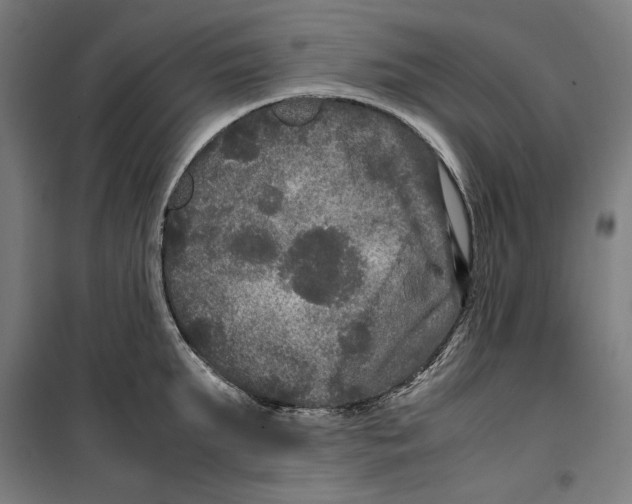 X0000099490903200806121349