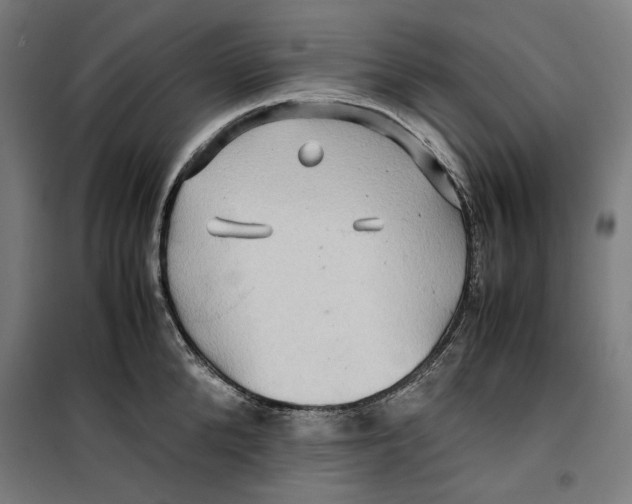 X0000099490904200806121349