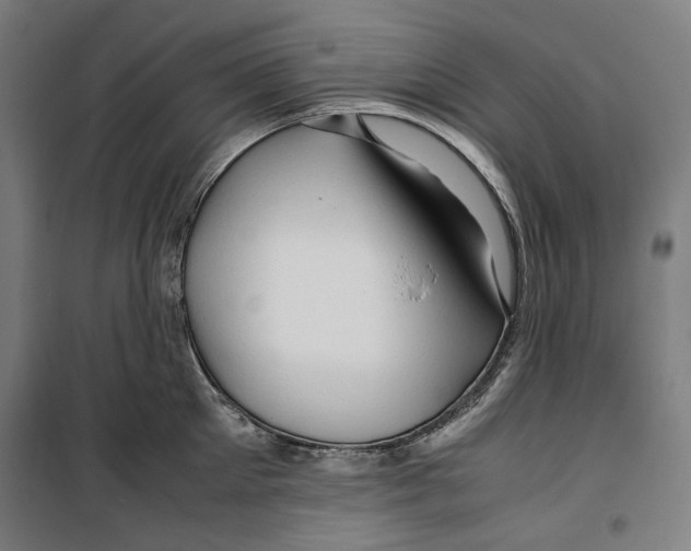 X0000099490905200806121349