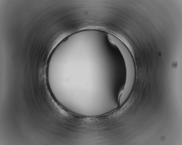 X0000099490906200806121349