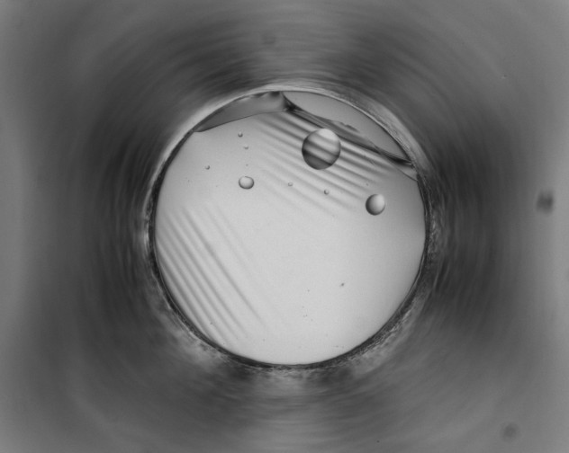 X0000099490908200806121349