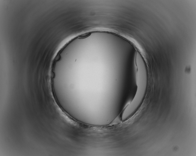 X0000099490910200806121349