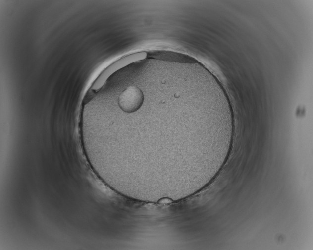 X0000099490912200806121349