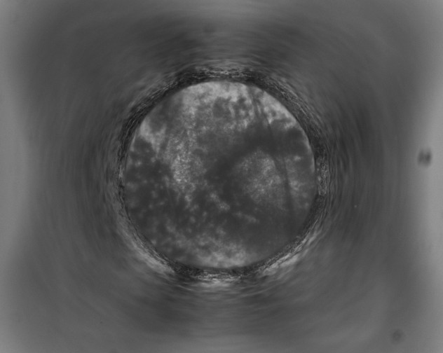 X0000099490913200806121349