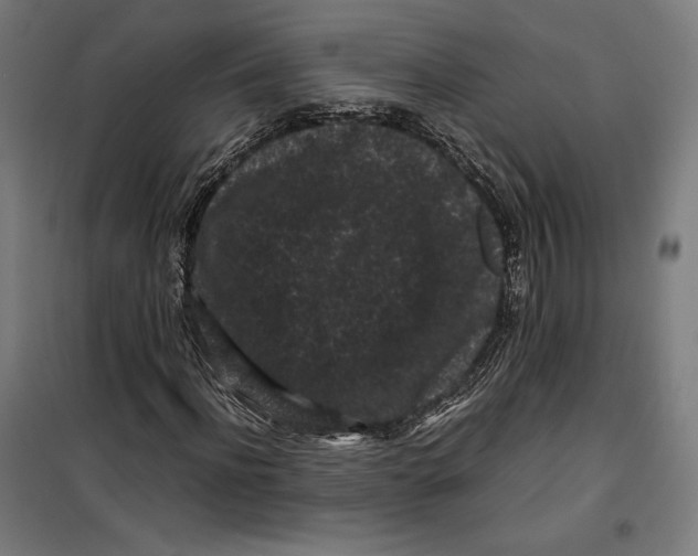 X0000099490916200806121349