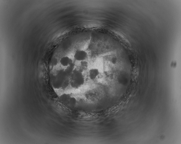 X0000099490917200806121349