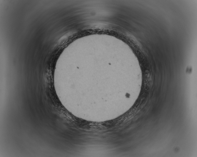 X0000099490918200806121349