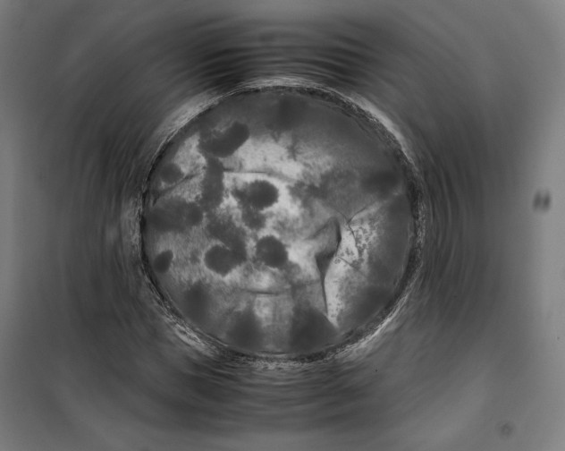 X0000099490921200806121349