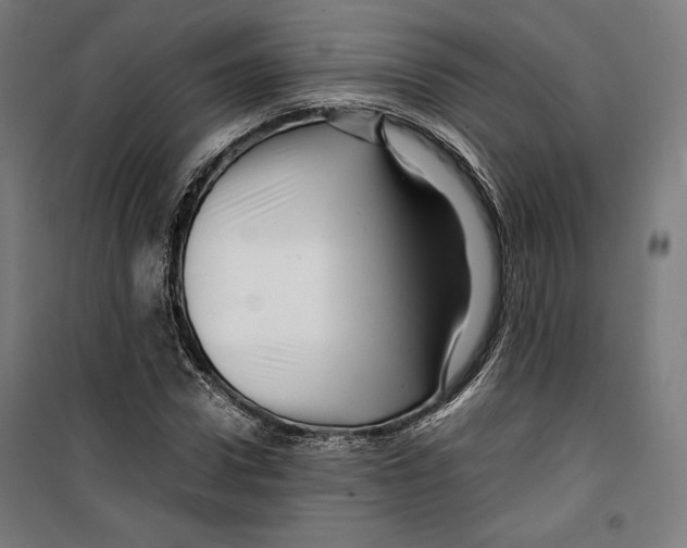 X0000099490922200806121349