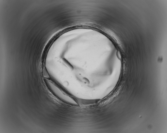 X0000099490924200806121349