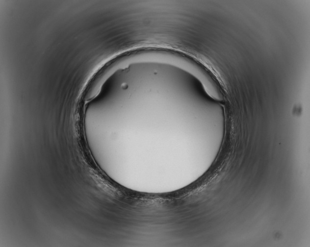 X0000099490926200806121349