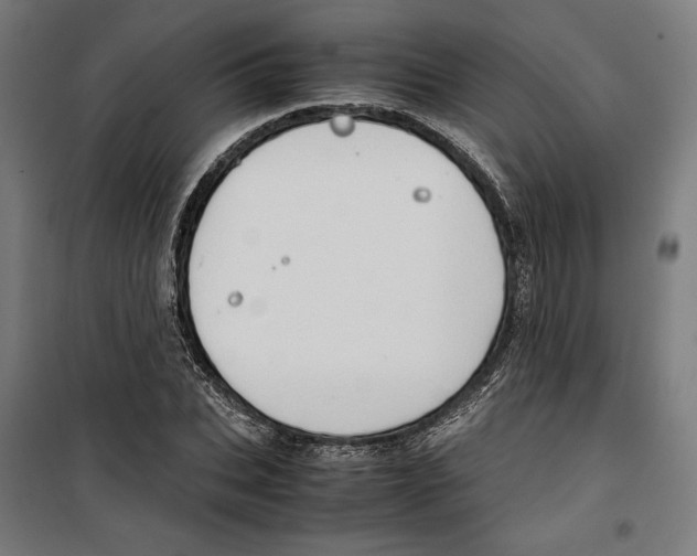 X0000099490927200806121349