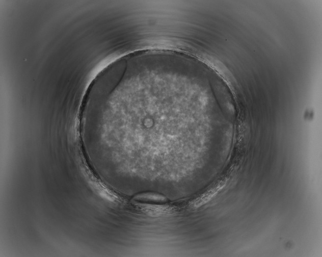 X0000099490928200806121349