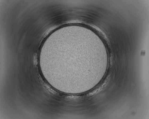 X0000099490929200806121349