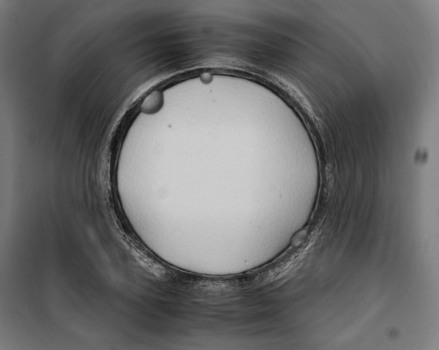 X0000099490931200806121349