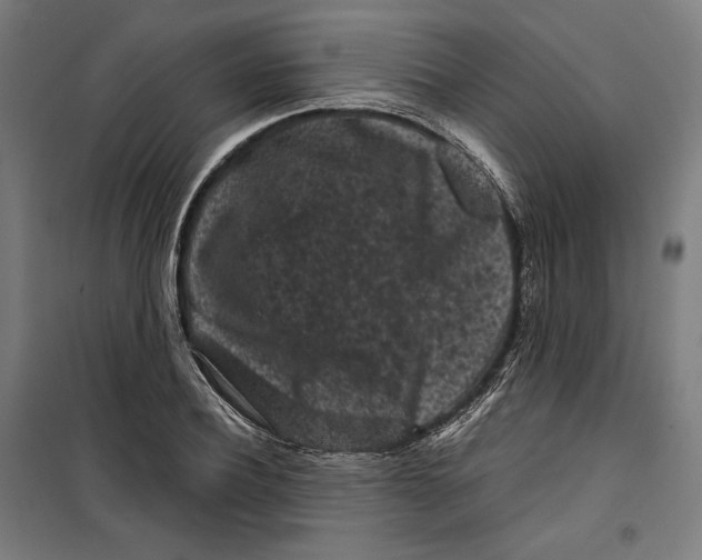 X0000099490932200806121349