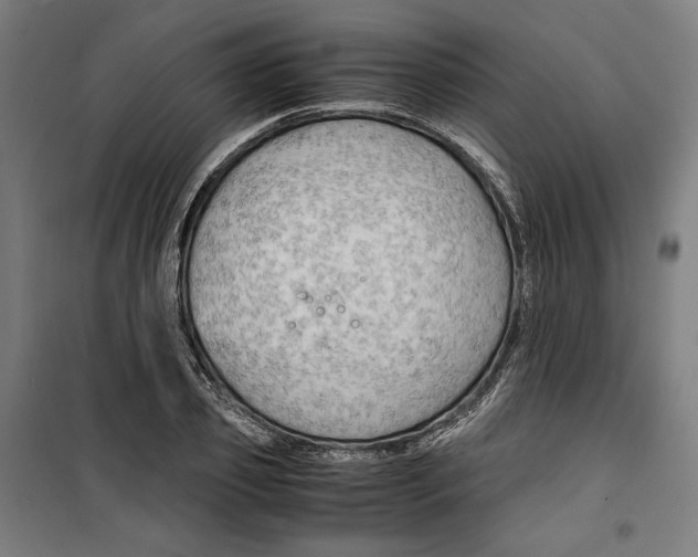 X0000099490933200806121349